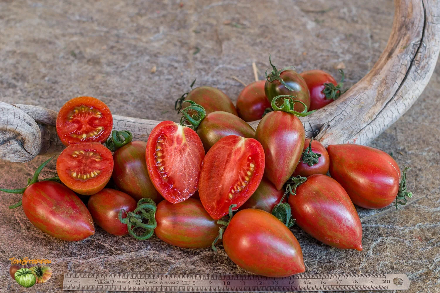 10 seeds Candy Sweet Icicle Tomato Large Cherry Rare Variety Indeterminate