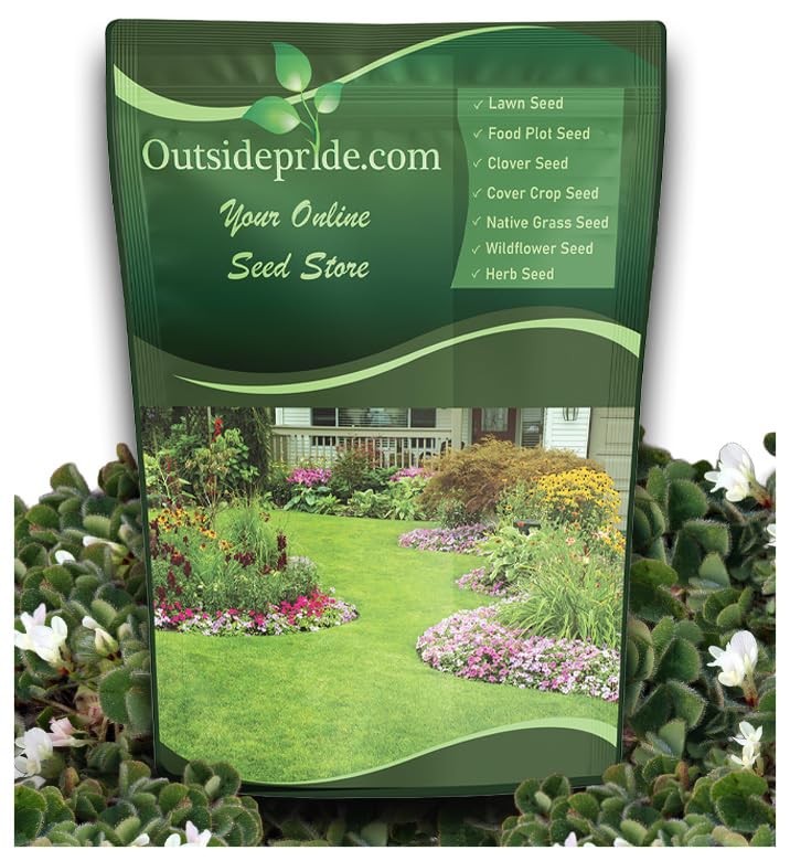 Annual Subterranean Clover Seeds for Lawn – 10 lbs. Cold Hardy, Nitrogen-Fixi…