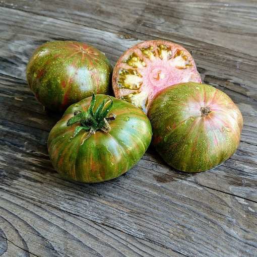 10 seeds Dwarf Peppermint Stripes Tomato ORGANIC Rare DTP