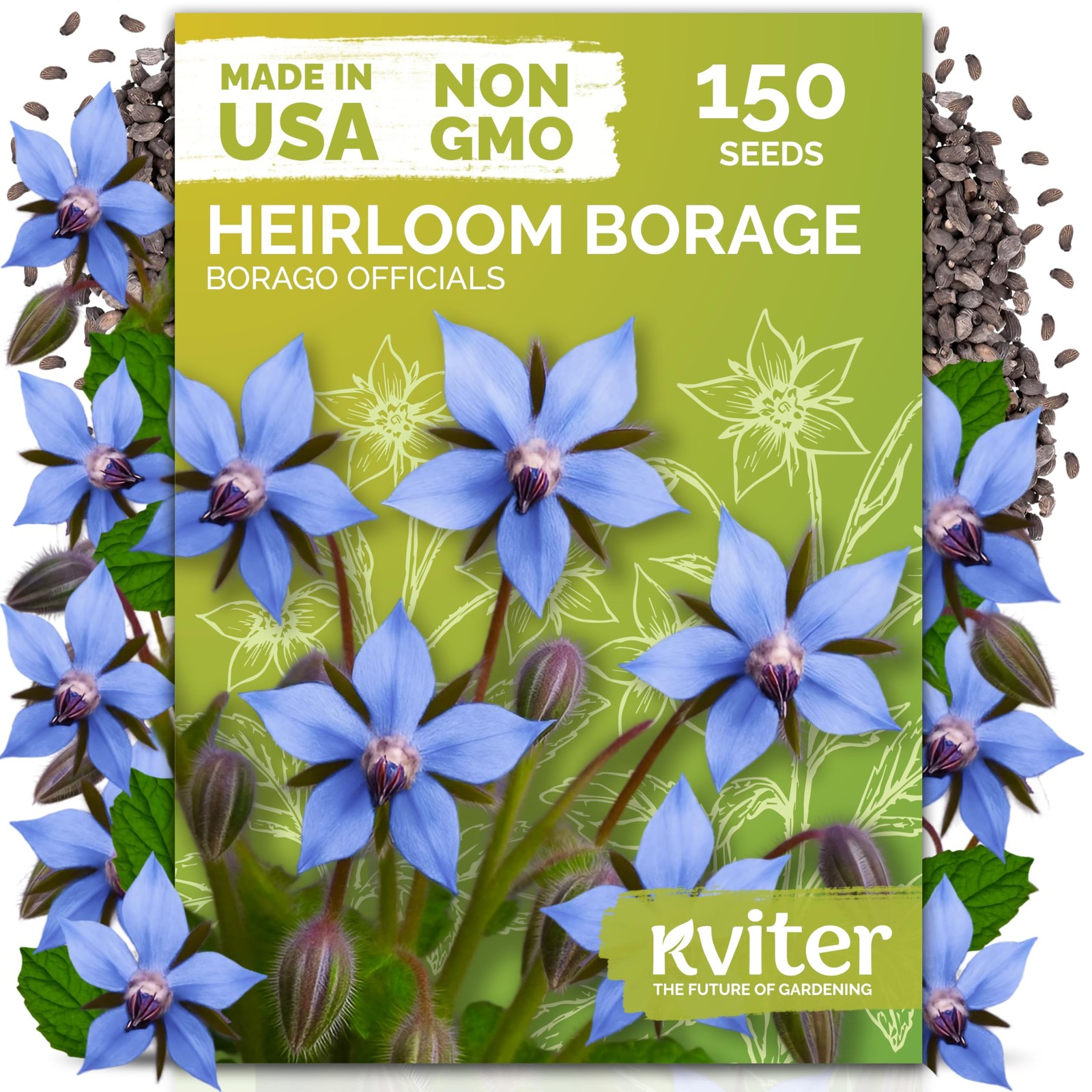 KVITER 150 Borage Seeds (Borago officinalis)