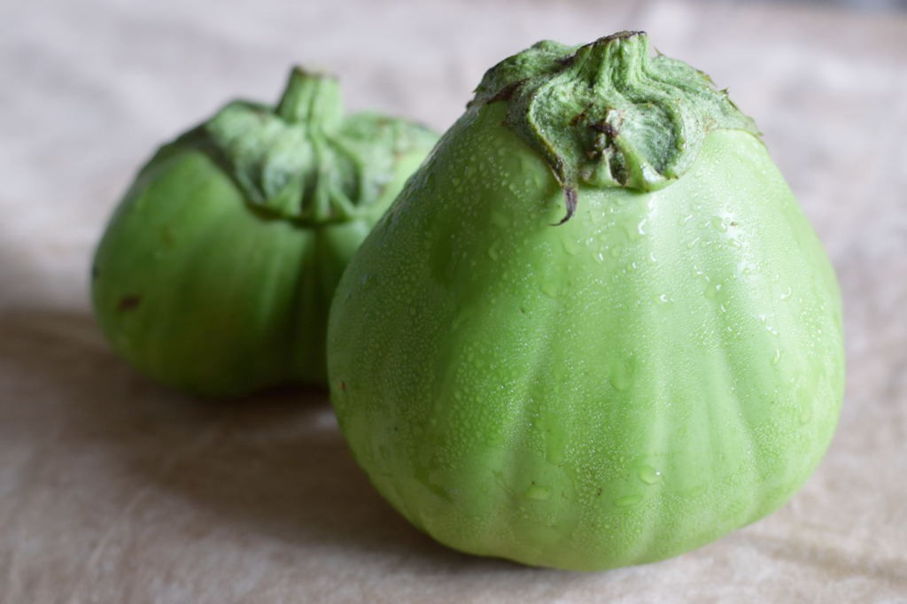 RARE✿ Japanese Heirloom Ao Daimaru Green Eggplant 15+ Seeds ●Heat Tolerant