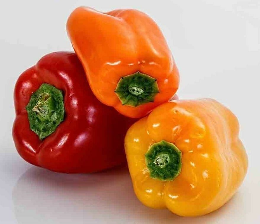 50 CALIFORNIA WONDER BELL PEPPER SEEDS NON – GMO FRESH GARDEN HARVEST