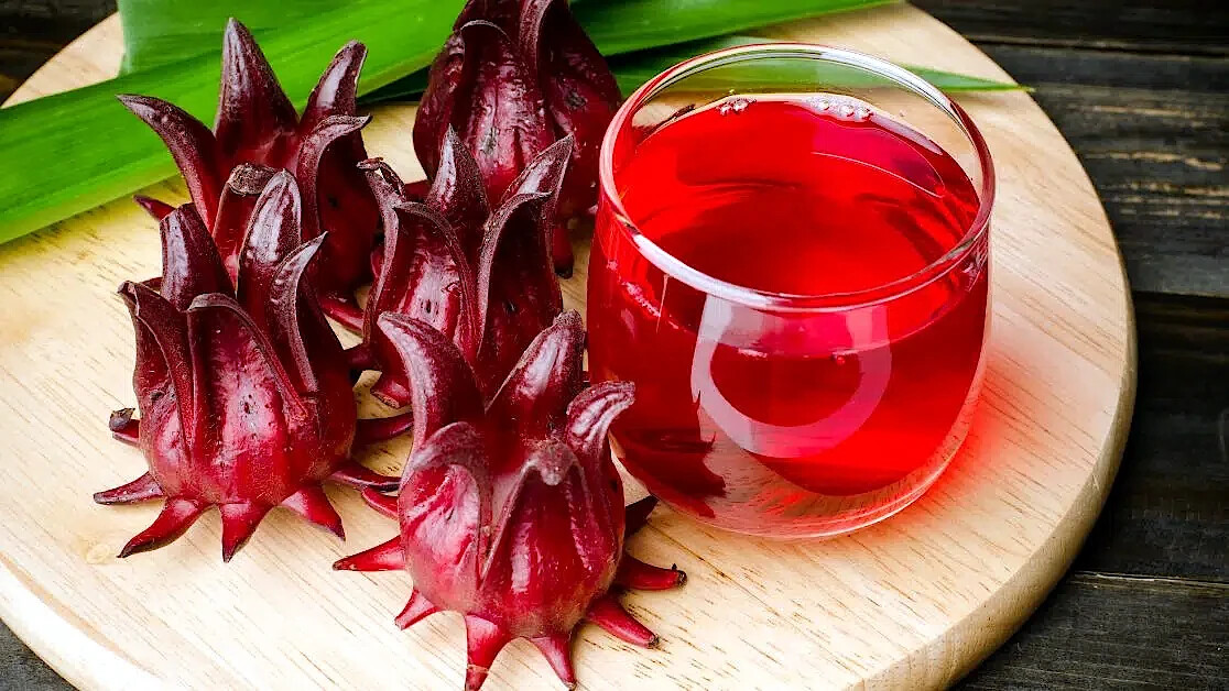 Roselle Seeds Hibiscus sab Jamaican Sorrel Florida Cranberry RARE LUOSHEN FLOWER