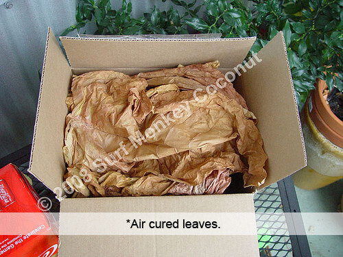 Tobacco seed 3 types variety pack 1500 seeds & INSTRUCTION BOOKLET heirloom open