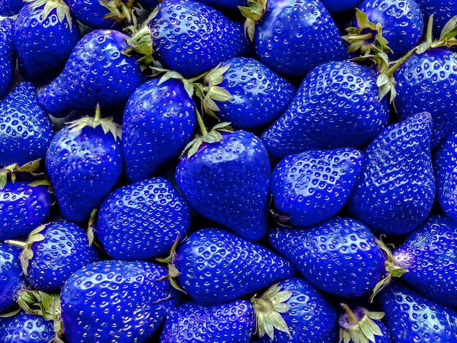800 Mixed Strawberry Seeds – 4 Colors – Non-GMO Heirloom Perennial Seeds for Pla