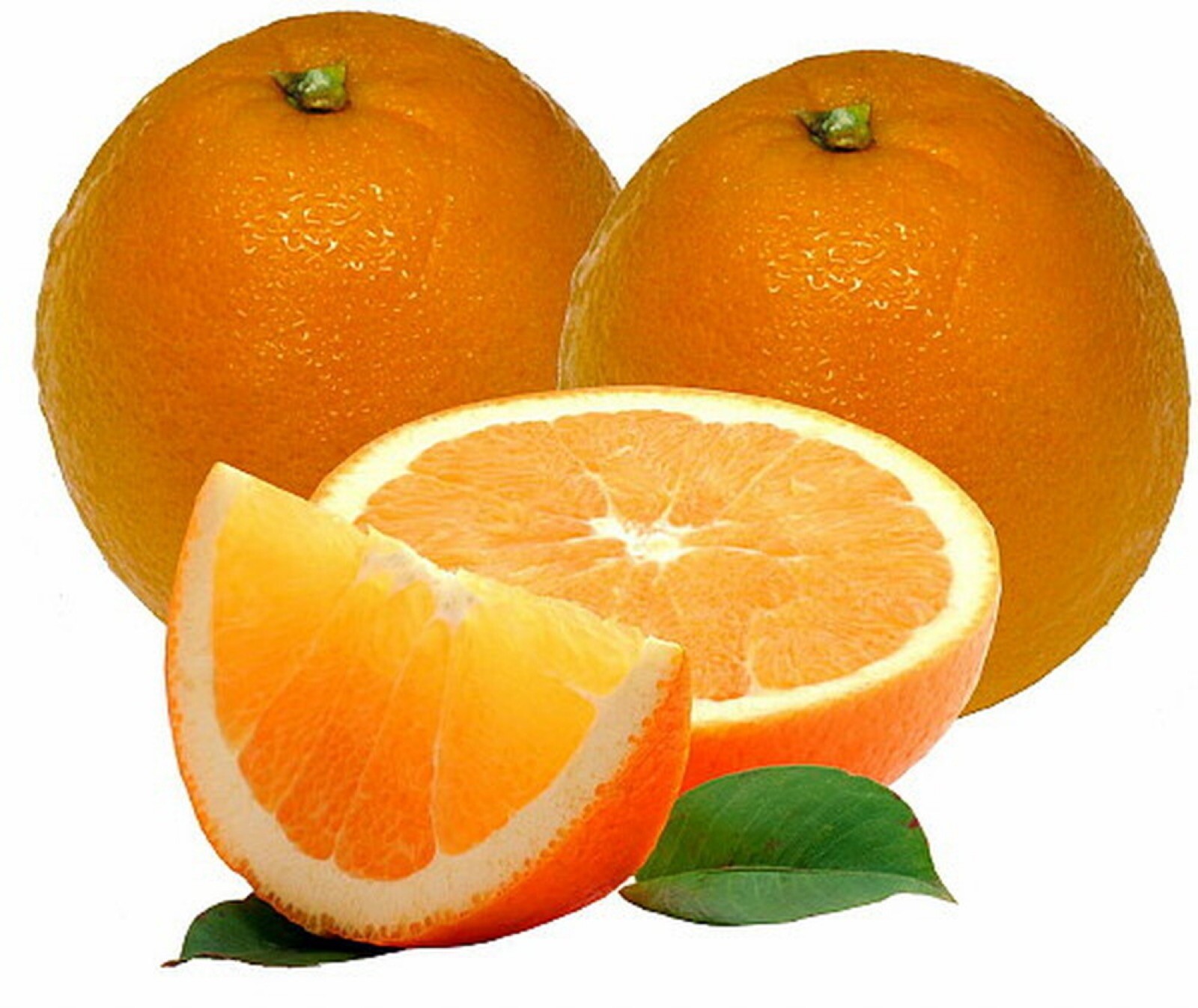 For Texas Only! Washington Navel Semi-Dwarf Orange Tree, 2 yo, 3-4 feet tall