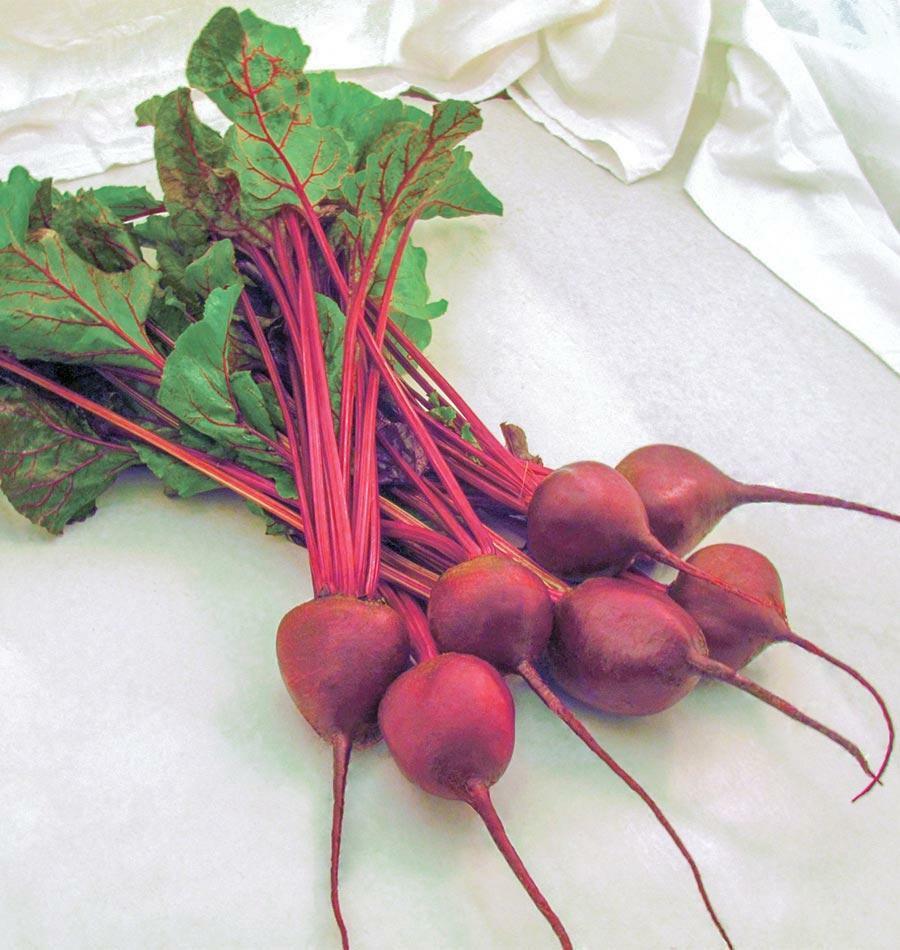 Beet Seeds Early Wonder Tall Top 100 Ct Vegetable Garden NON-GMO FREE SHIPPING