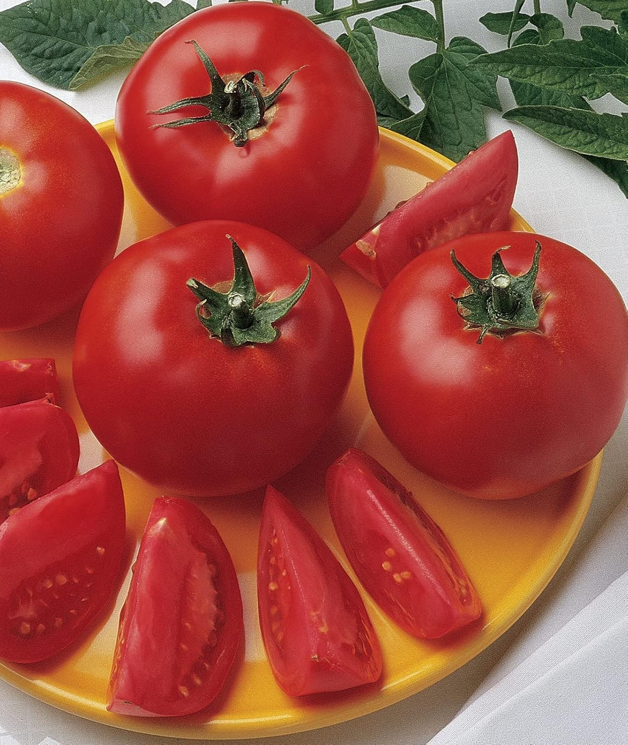Grow ‘Bush Early Girl’ Hybrid Tomato – 30 GMO-Free Seeds for Flavorful Summer