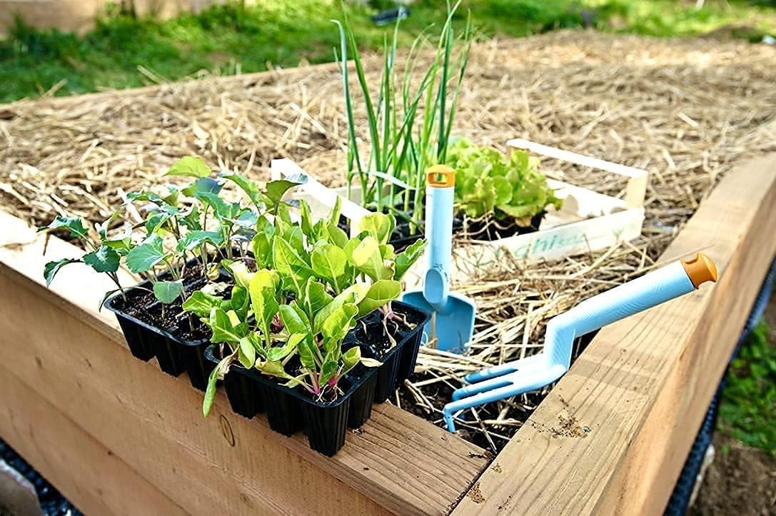Pet-Friendly Organic Garden Straw 5 lb – Ideal for Mulching & Composting