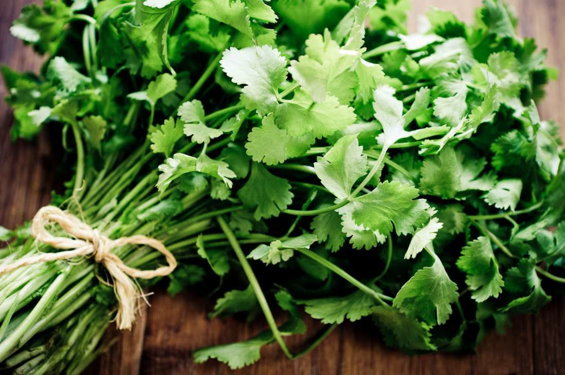 7 CULINARY herb varieties NON-GMO SEEDS GREAT in the KITCHEN ESSENTIAL SURVIVAL!