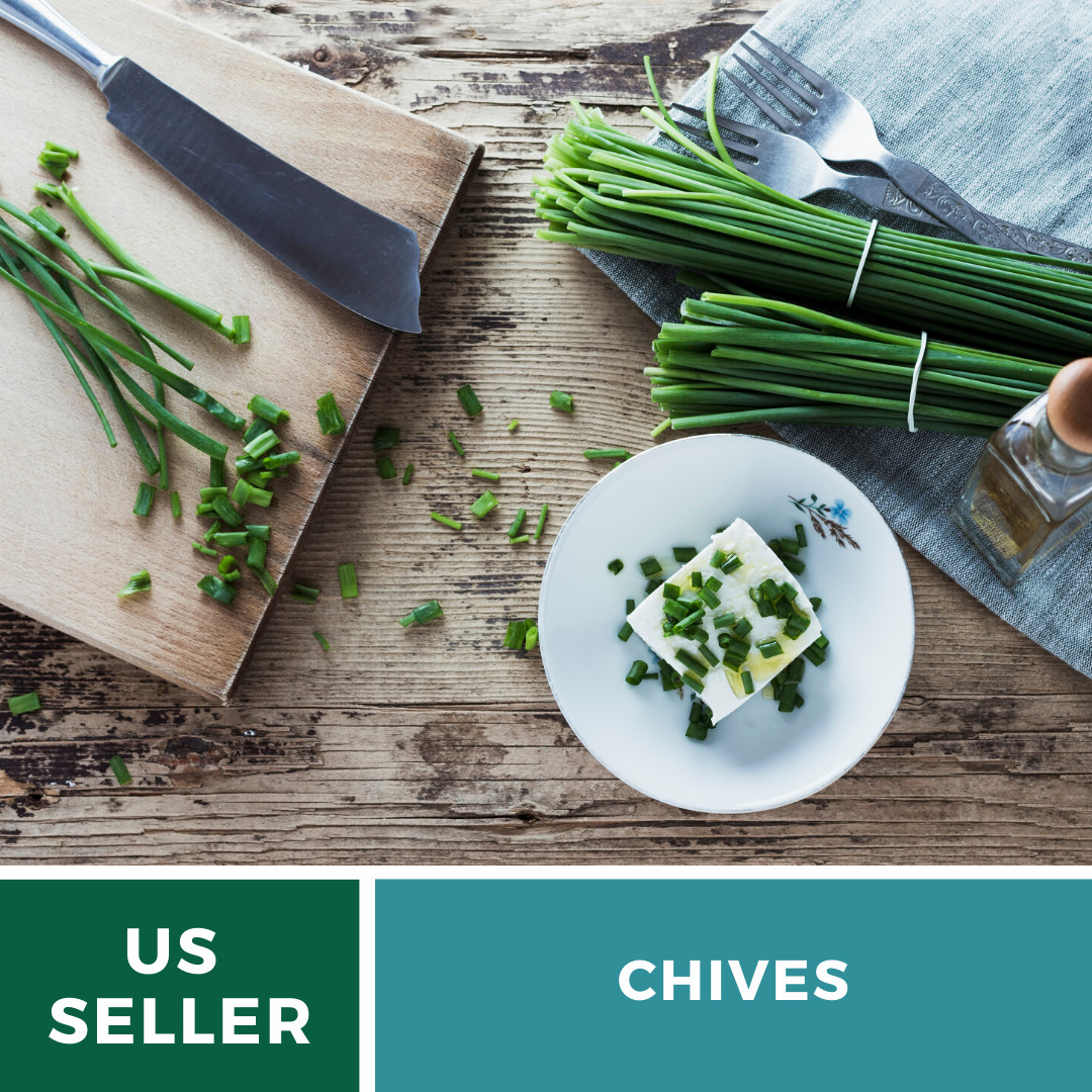 Chives – 100 Seeds – Culinary & Medicinal Herb – Heirloom – NonGMO