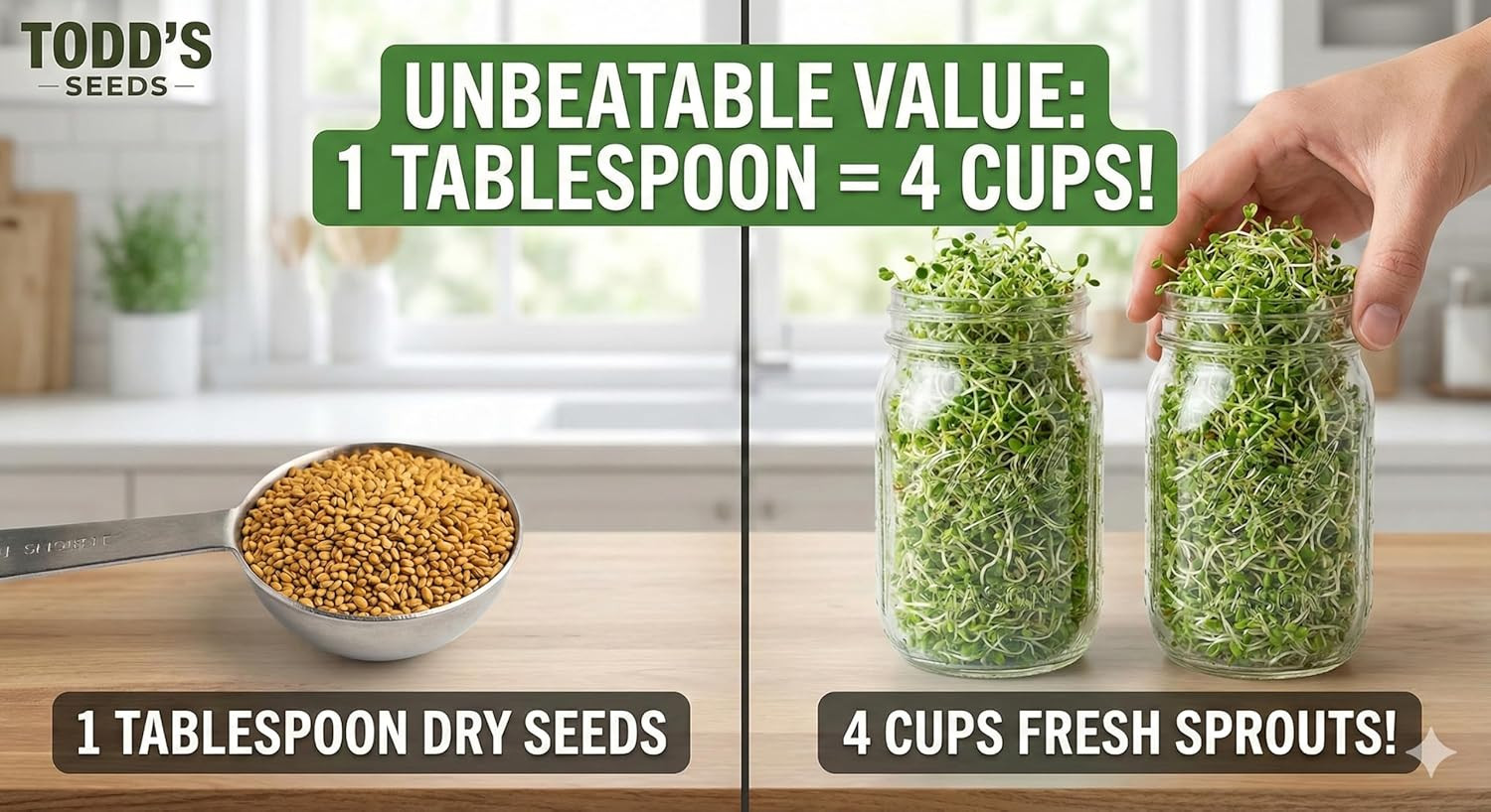 Alfalfa Sprouting Seeds 1/2 lb Microgreens Fast Growing High Germination Seeds