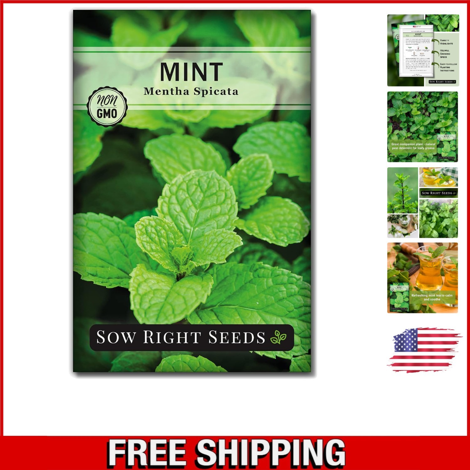 Organic Mint Seeds – Beautiful, Perennial Herb for Culinary Delights & Fresh Tea