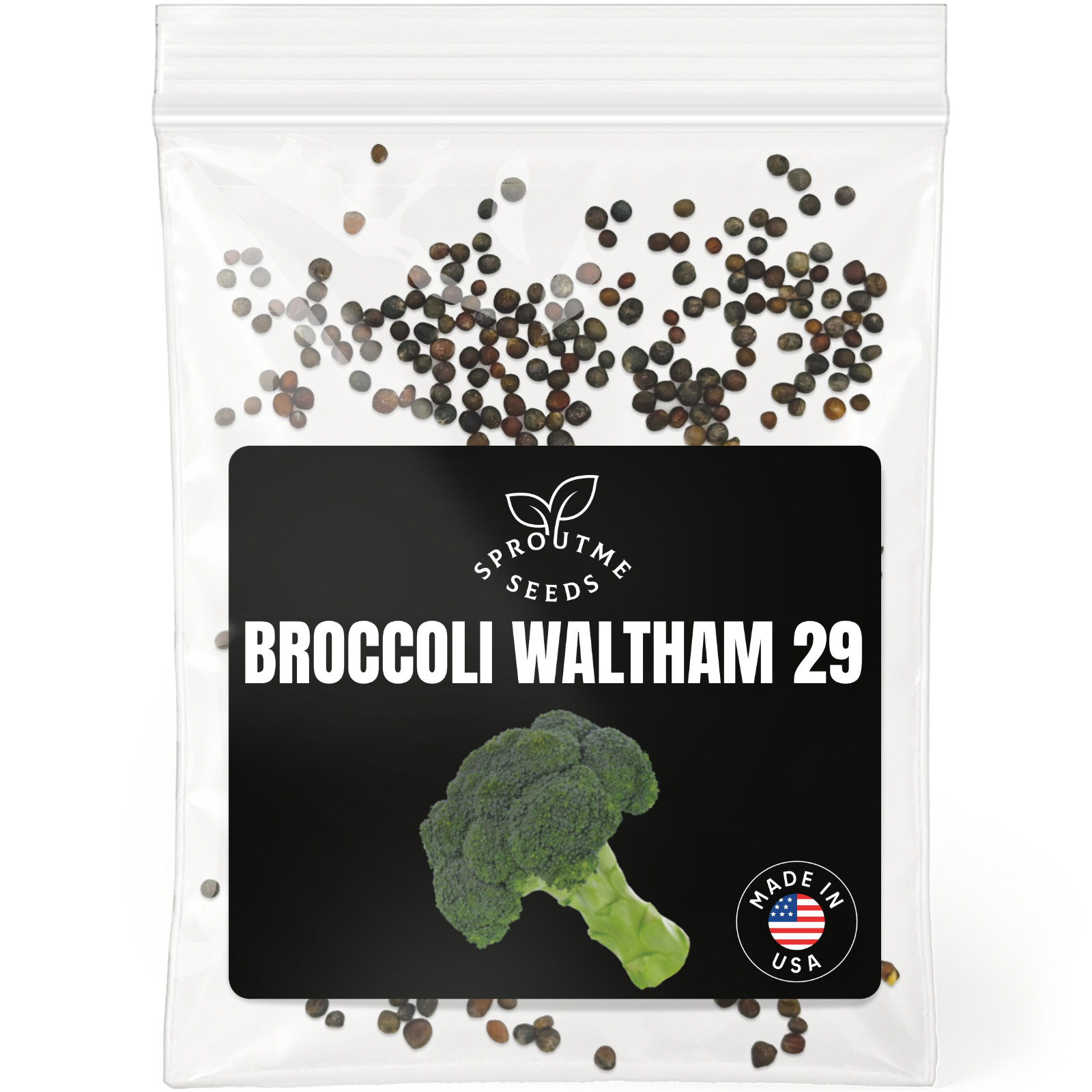 Waltham 29 Broccoli Seeds 300+, Heirloom Non-GMO, Cold Hardy Heads