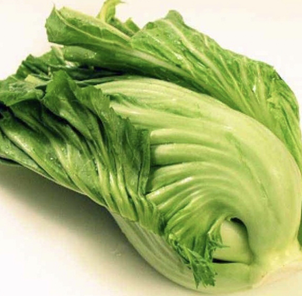 3x Hat Cai Be Dua, Chinese Indian Mustard 750+ Seeds/bag GAI CHOI Cabbage
