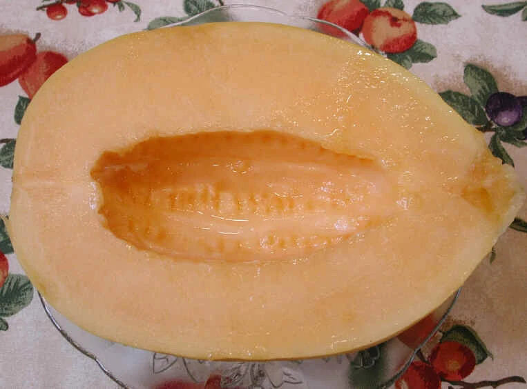 65 SEEDS – melon CRENSHAW – GroCo USA – BUY 15-SHIPS FREE