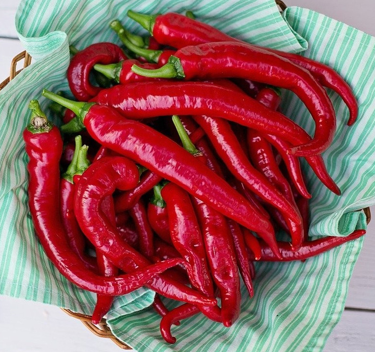 50+ Cayenne Large Red Thick Pepper Seeds -=- Hot — Organic — Heirloom — FRESH