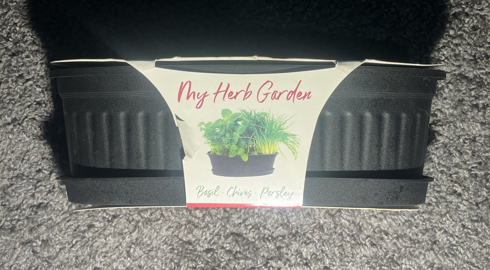 My Herb Garden Basil, Chives, Parsley Seed Planter Kit Kitchen Window Garden