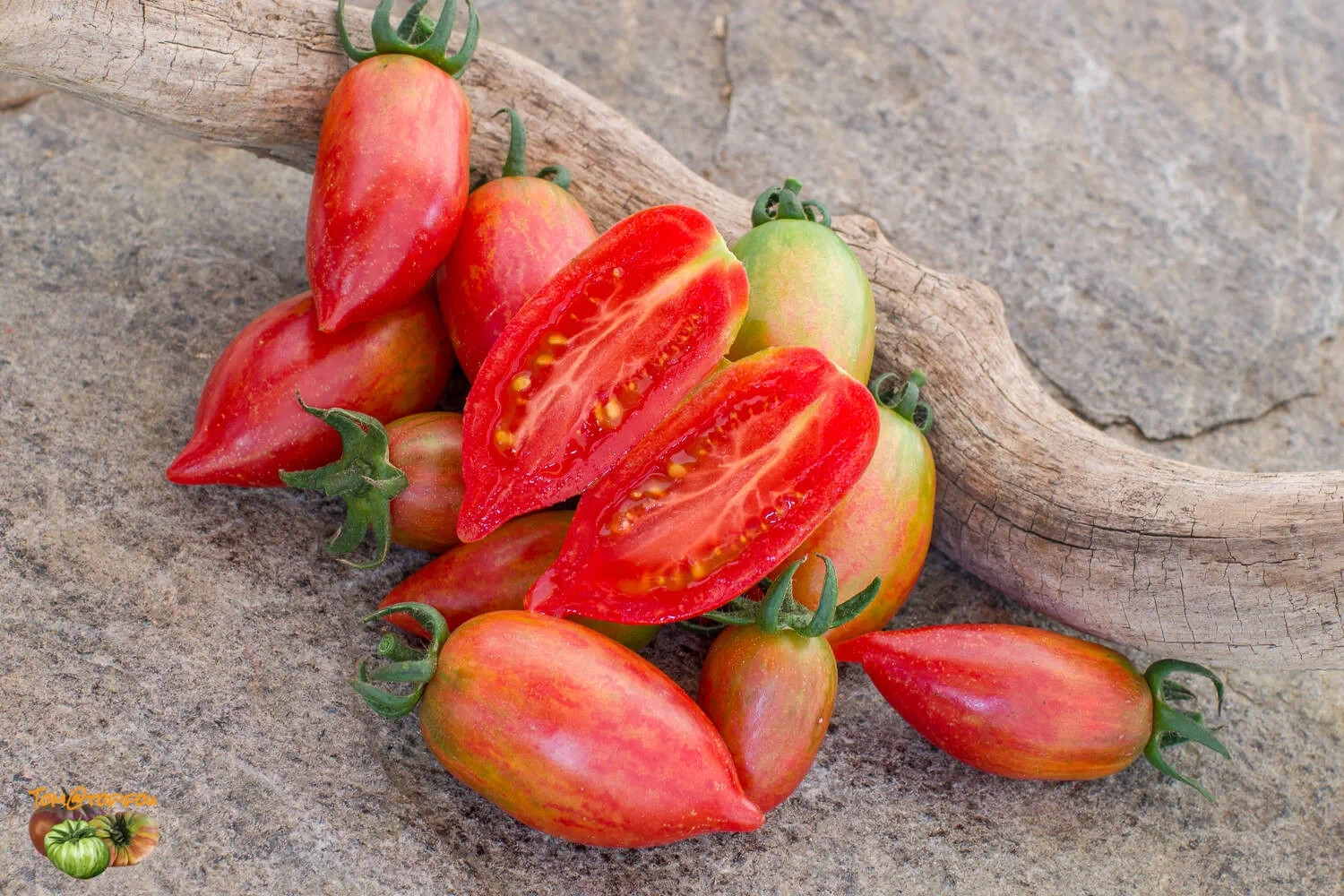 10 seeds Candy Sweet Icicle Tomato Large Cherry Rare Variety Indeterminate