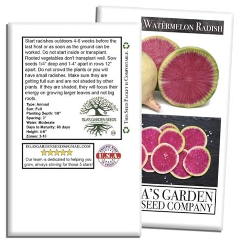Watermelon Radish Seeds (Raphanus sativus acanthiformis) – 120+ Non-GMO