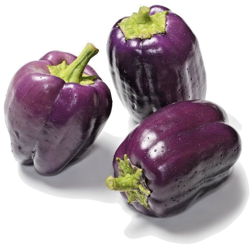 101+PURPLE Beauty Sweet BELL PEPPER Seed Organic Vegetable Garden Container Easy