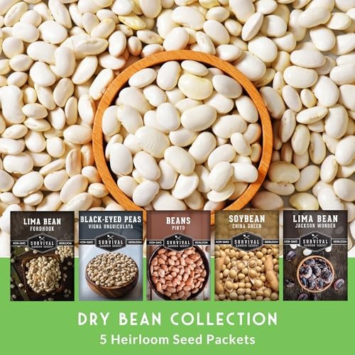 Dry Bean Seeds for Planting – 5 Heirloom Protein Varieties for Shelling &