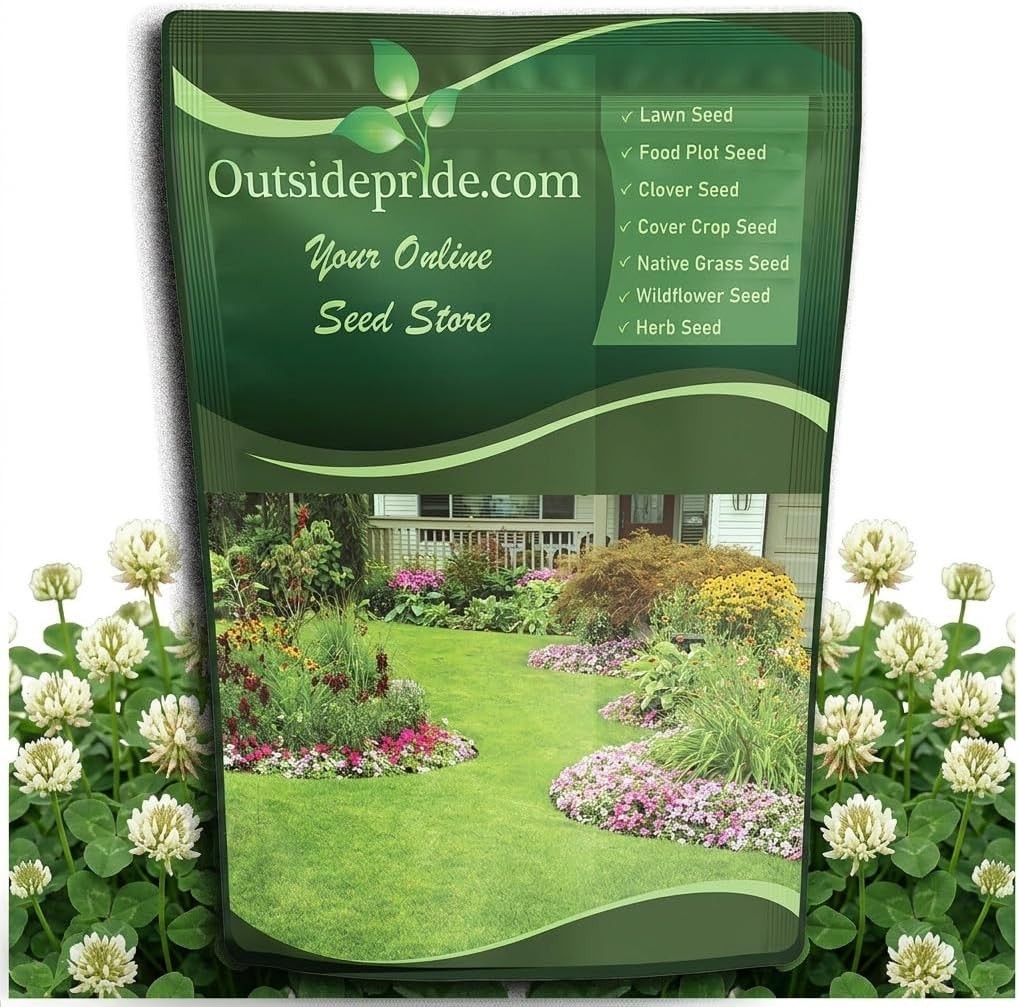 Drought Tolerant 5 lbs White Dutch Clover Seed – Perfect for USDA Zones 3-10