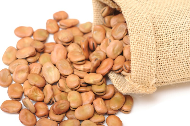 Windsor Fava Bean Seeds
