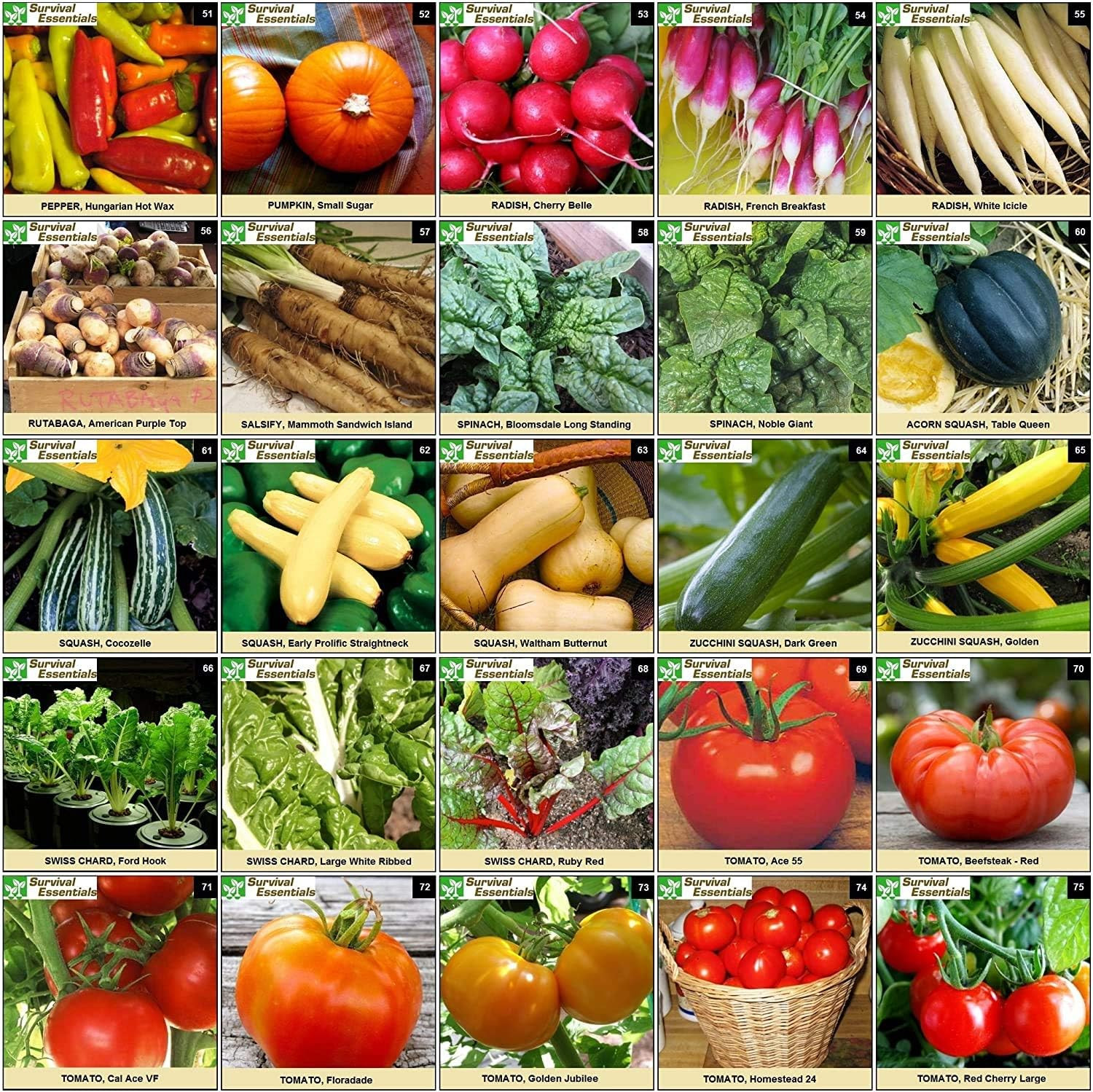 Garden Heirloom Seed Vault, 100 Variety, over 17,500 Vegetable, Fruit, and Herbs