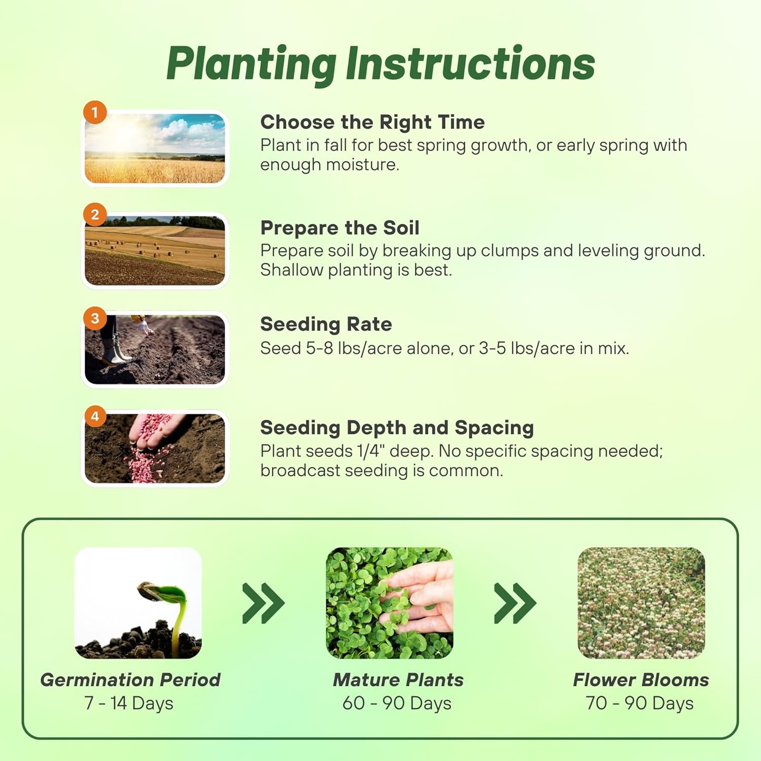 5 LBS – Inoculated FIXatioN Balansa Clover: Bio-Massive Drought Tolerant