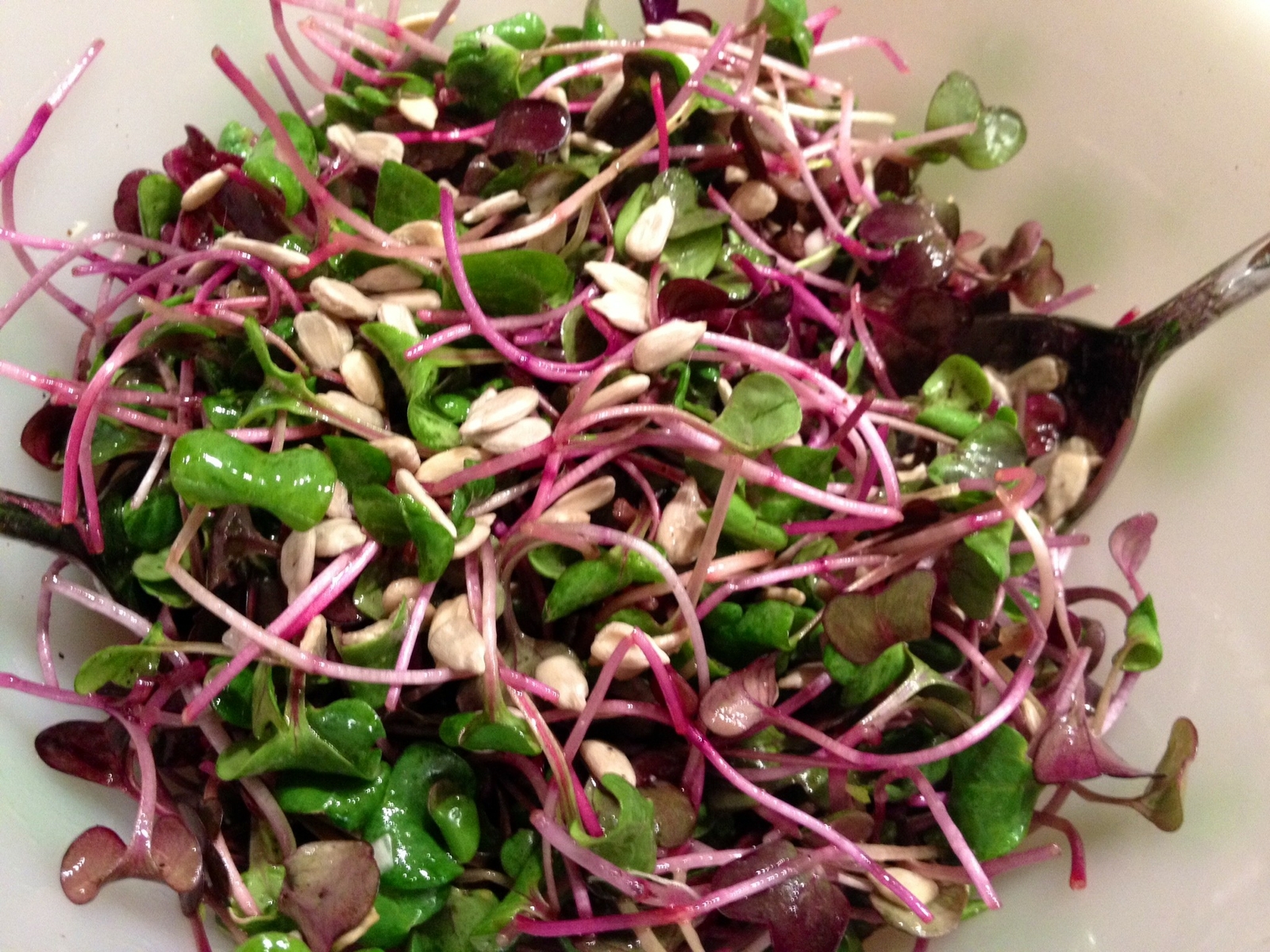 8 oz Red Radish