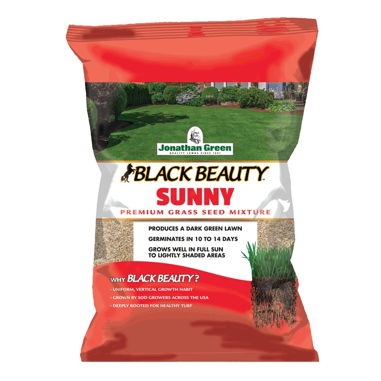 Jonathan Green Black Beauty Sunny Premium Grass Seed Mixture, 1 lb Bag