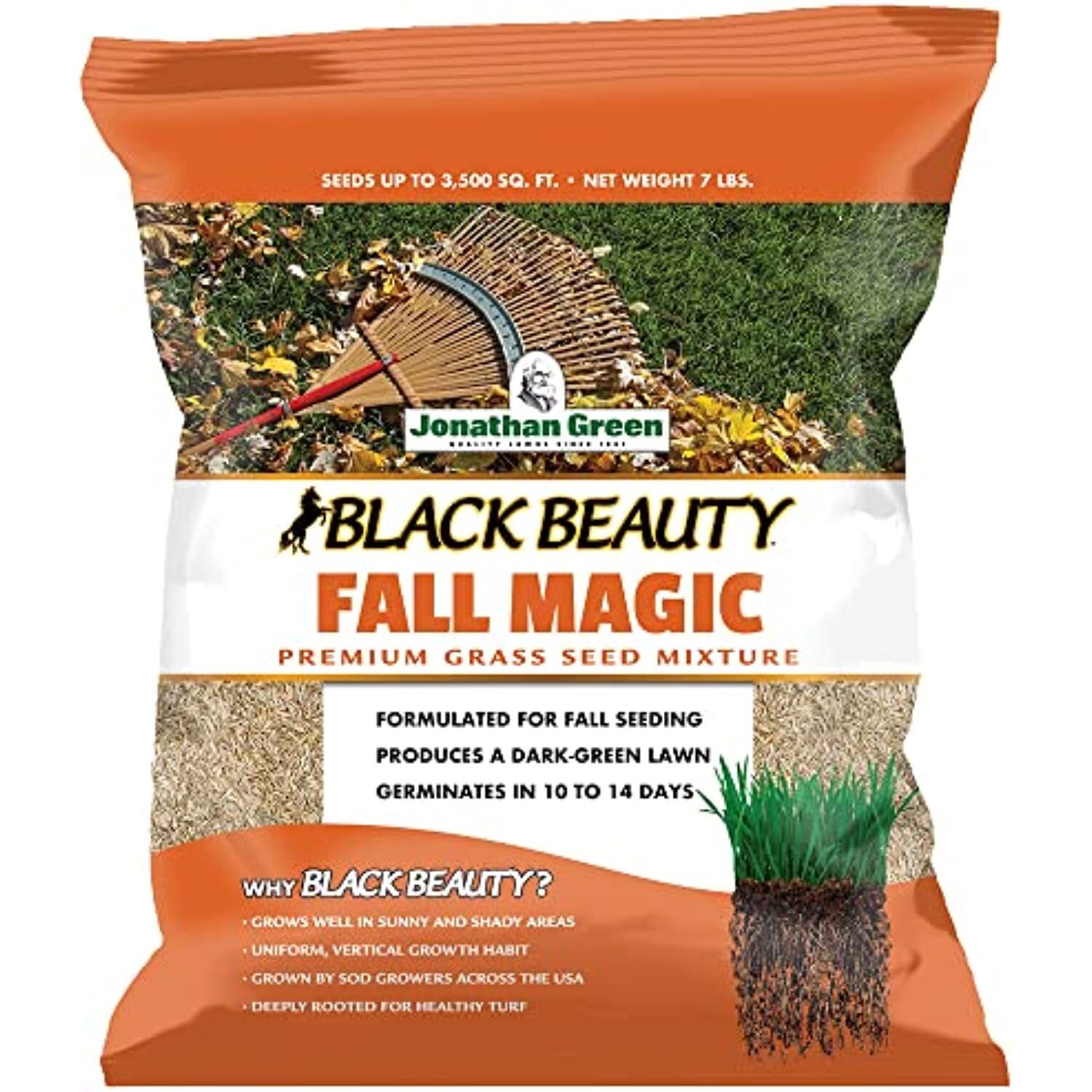 Jonathan Green (10768) Black Beauty Fall Magic Grass Seed – Cool Season Lawn