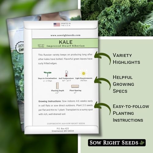 – Dwarf Siberian Improved Kale Seed for Planting – Non-GMO Heirloom Packet 4