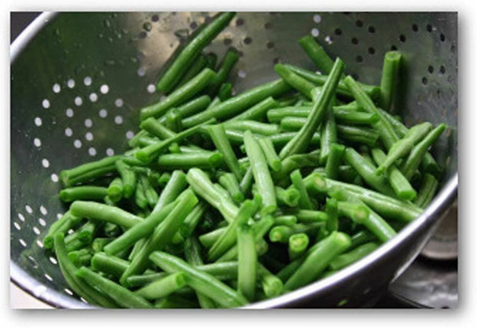 Bean Provider Bush Bean Seeds. “COOL BEANS n SPROUTS” Brand, A Garden Favorite,