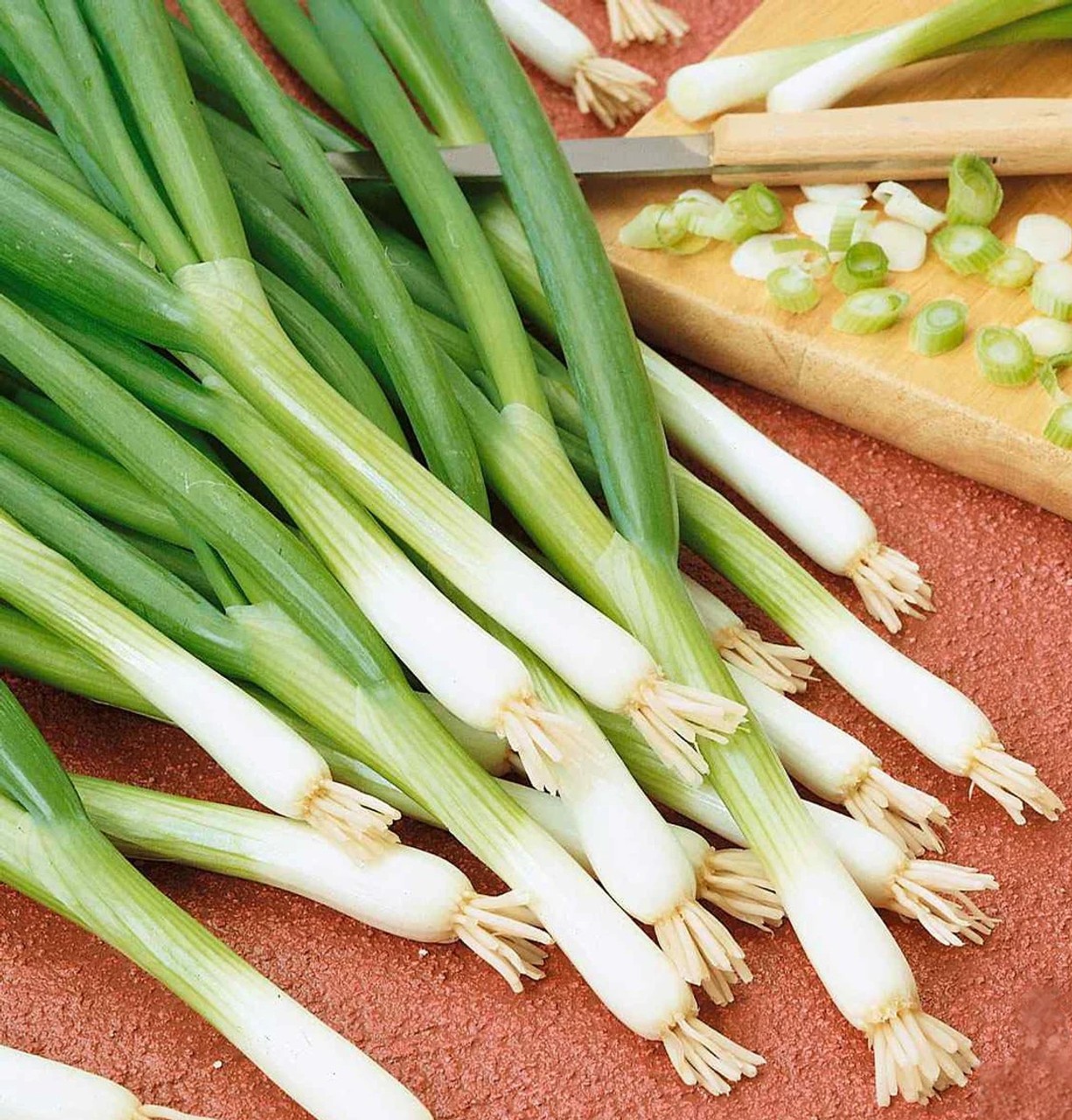 Evergreen White Bunching Onion Seeds, NON-GMO, FREE SHIPPING