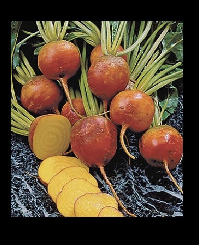 Burpee’s Golden Beets {30,100,200,400} Seeds Heirloom treated 55 days Bulk