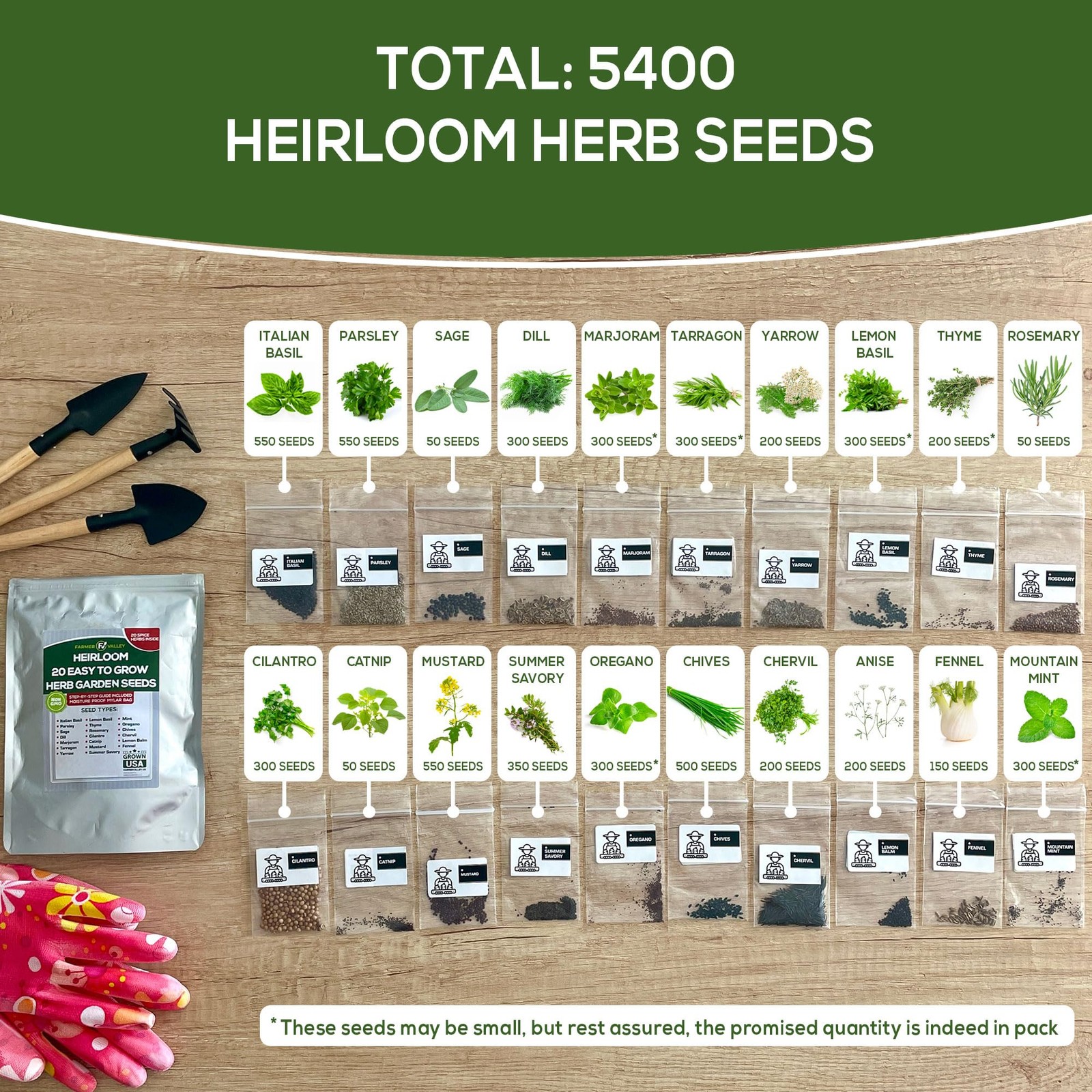20 Easy to Grow Spice and Herb Seeds for Home Gardening – Kitchen & Culinary …