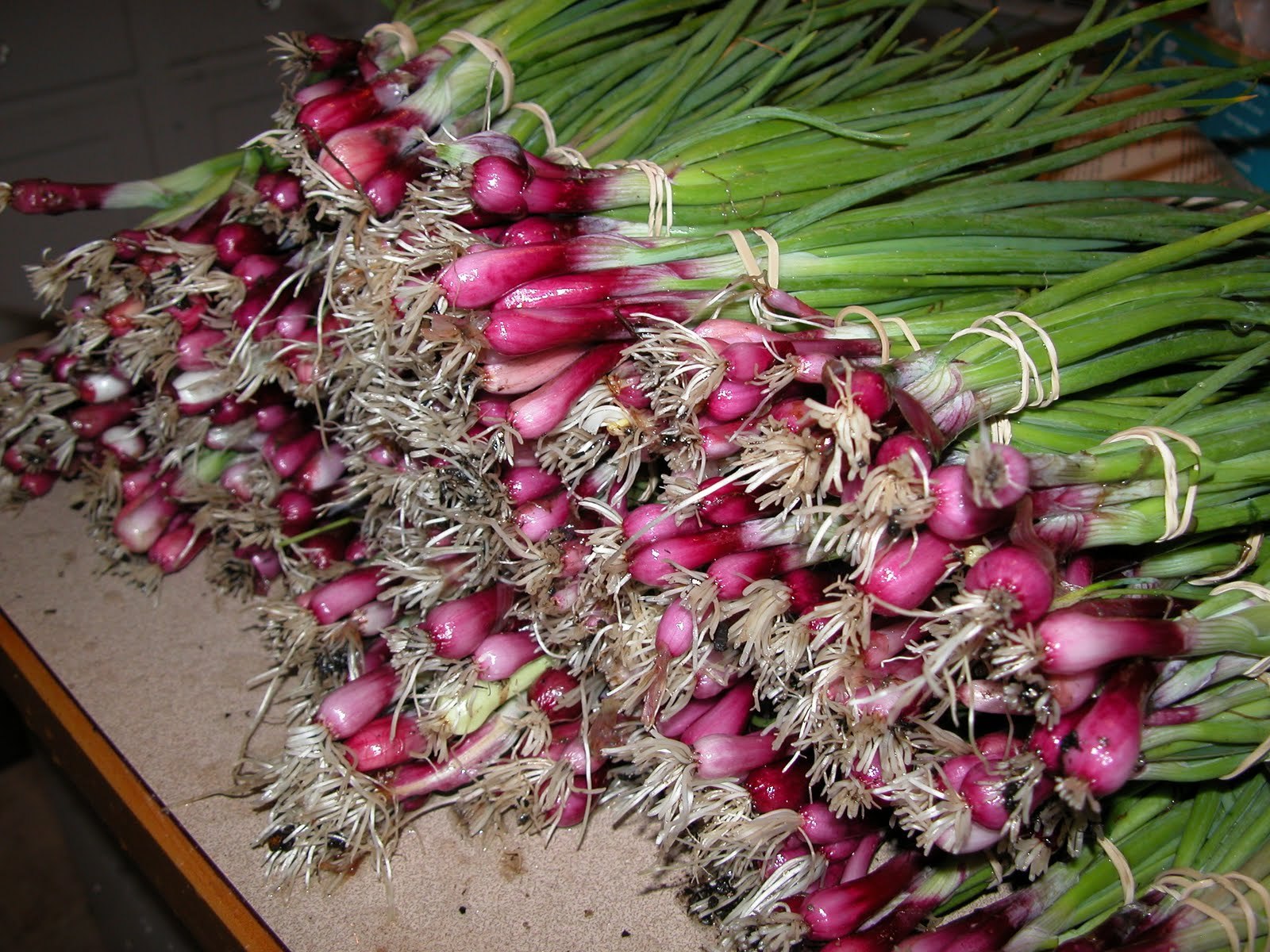 BULK DEEP PURPLE BUNCHING ONION SEEDS * 500 COUNT PKT. * MILD * CRISP * SWEET *