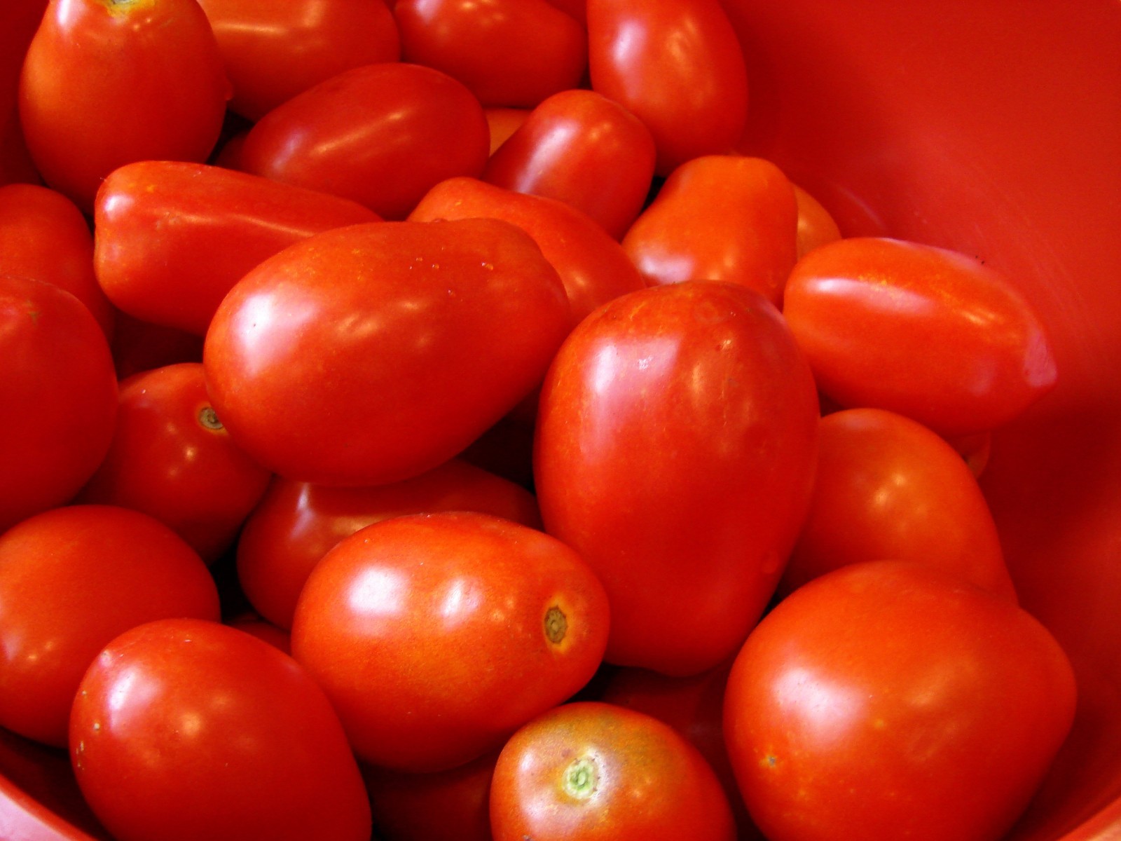 Roma Italian Tomato Seeds, Heirloom, NON-GMO, Variety Sizes, FREE SHIPPING