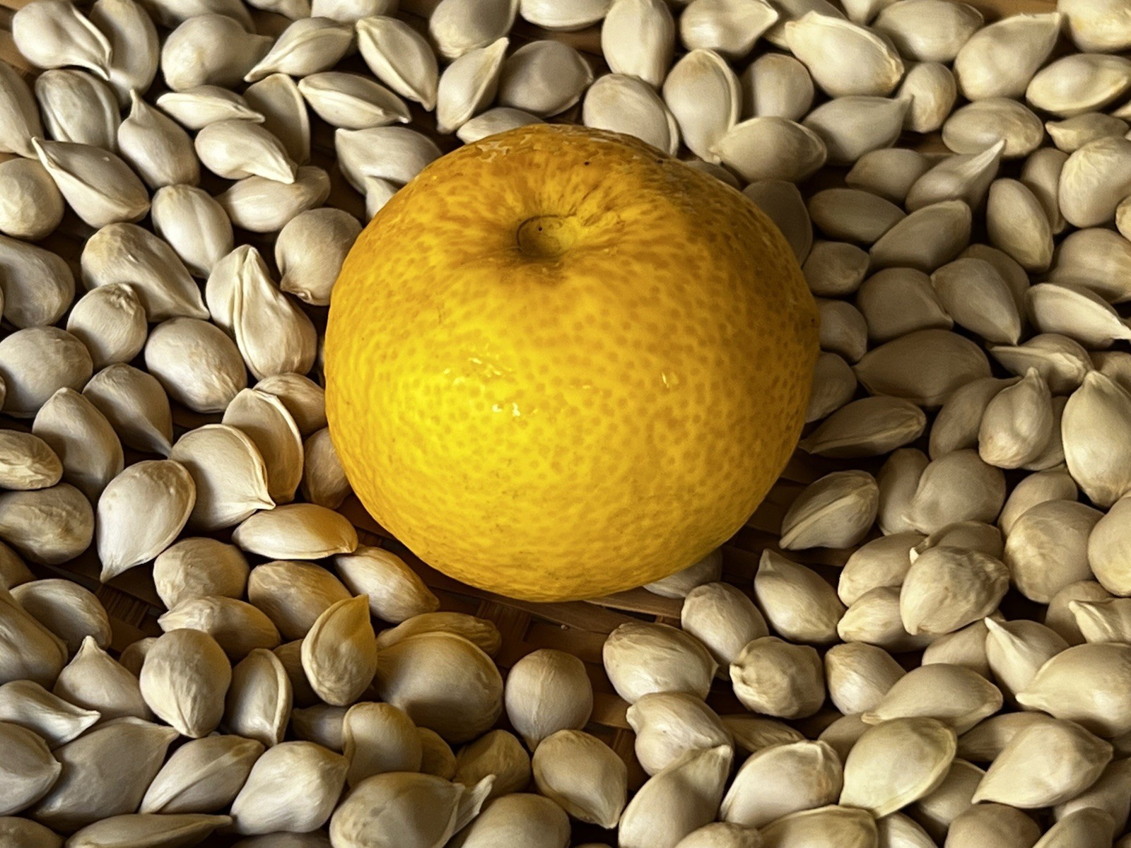 30 Fresh Yuzu Citrus Seeds 🍋