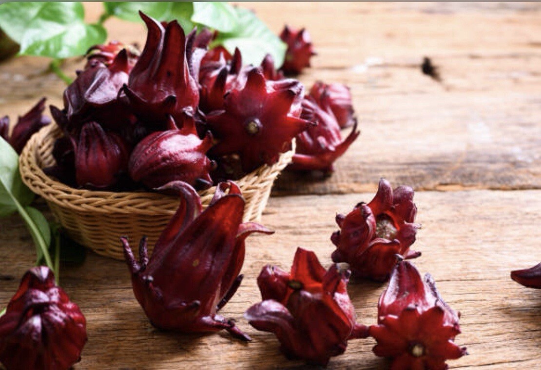 50+ SEEDS Hibiscus Sabdariffa | Roselle Seeds | Asian Sour Leaf | NON-GMO