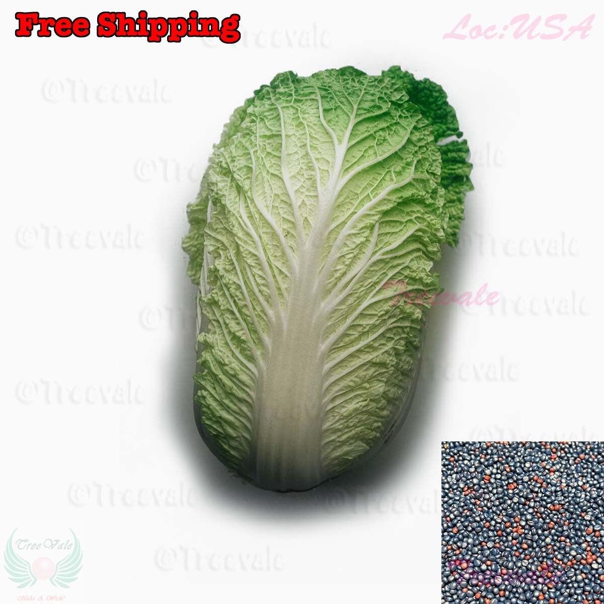 Napa cabbage, Kimchi cabbage, Chinese Cabbage, Dàbáicài seeds | Non-GMO, Organic