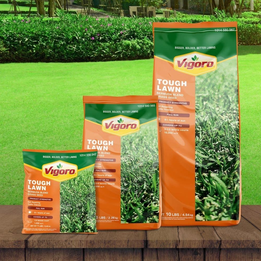 1 Lbs. Bermuda Blend Grass Seed