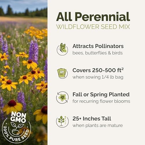 Wildflower Mixed Seeds for Planting, 1/4 lb, 120,000+ 1/4 Pound All Perennial