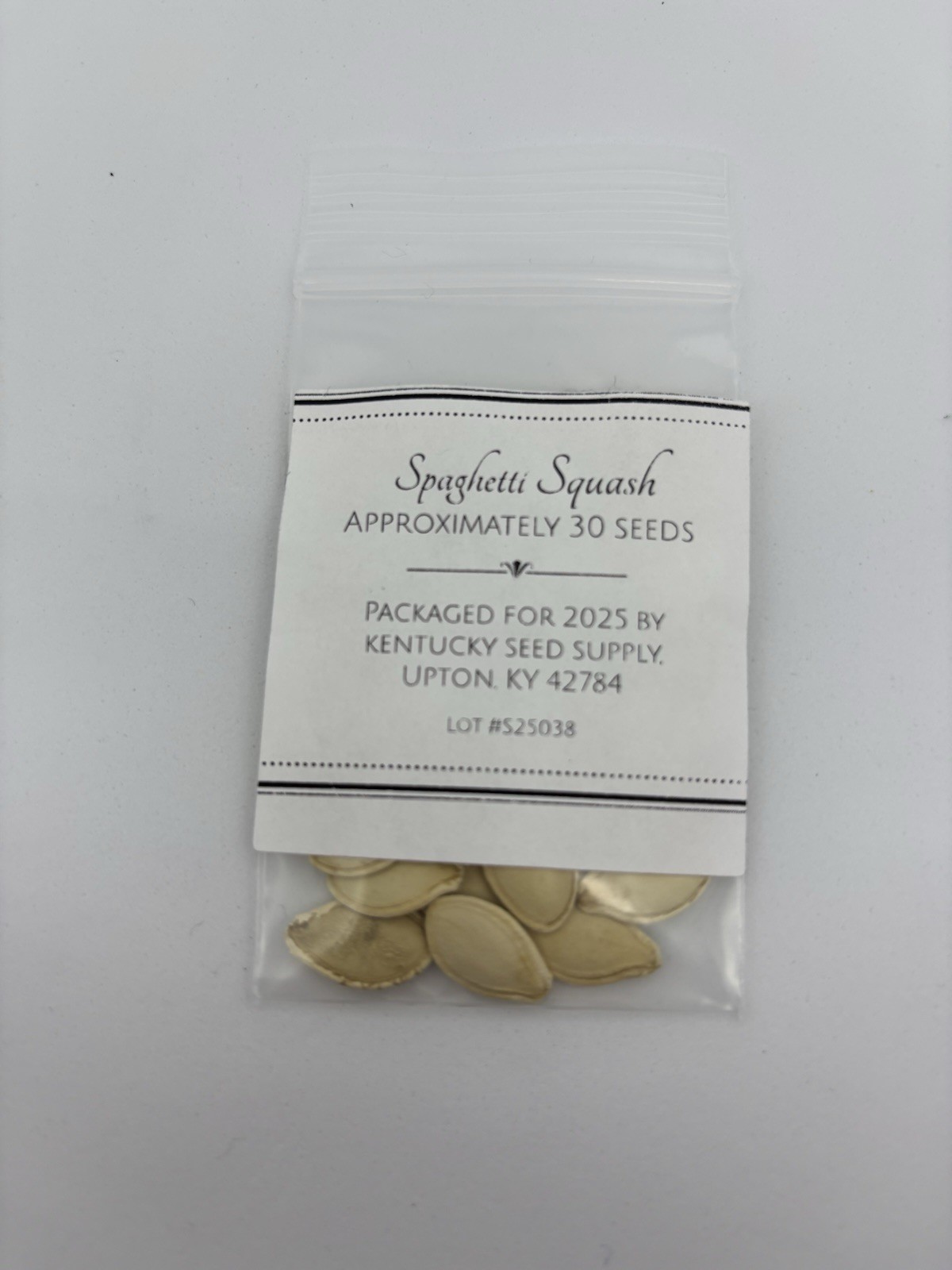 Spaghetti Squash Seeds-30 Count