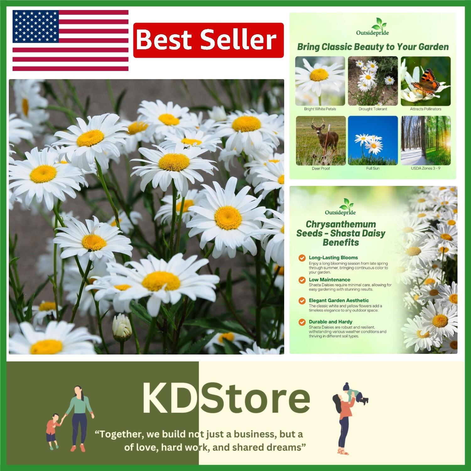 GMO-Free Shasta Daisy Seeds – 1 Lb. of Drought-Tolerant, Beautiful White Blooms