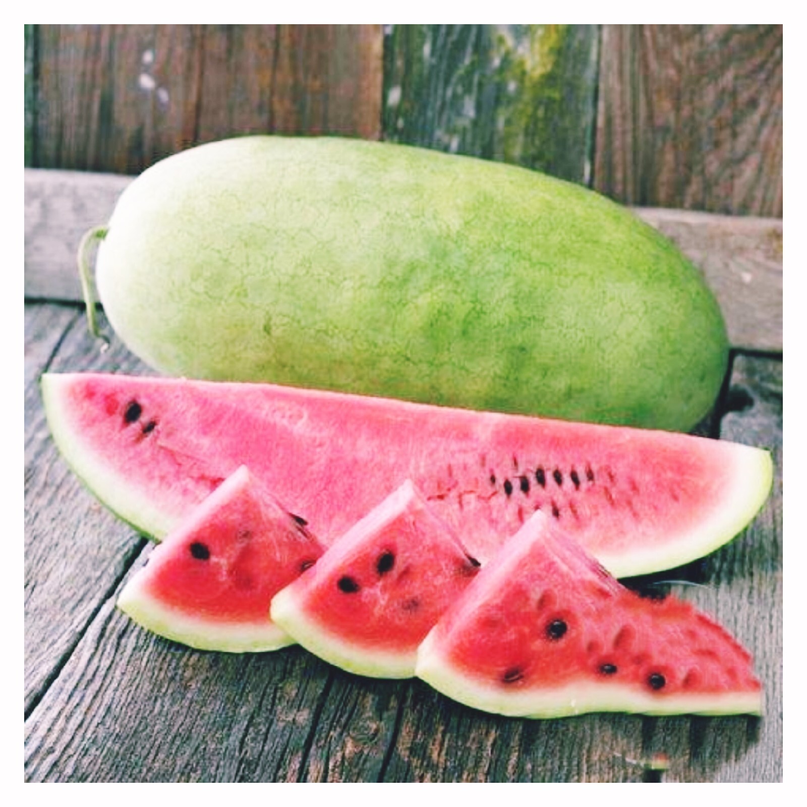 10+ Charleston Grey Watermelon Seeds | NON-GMO | Heirloom | heat tolerant |
