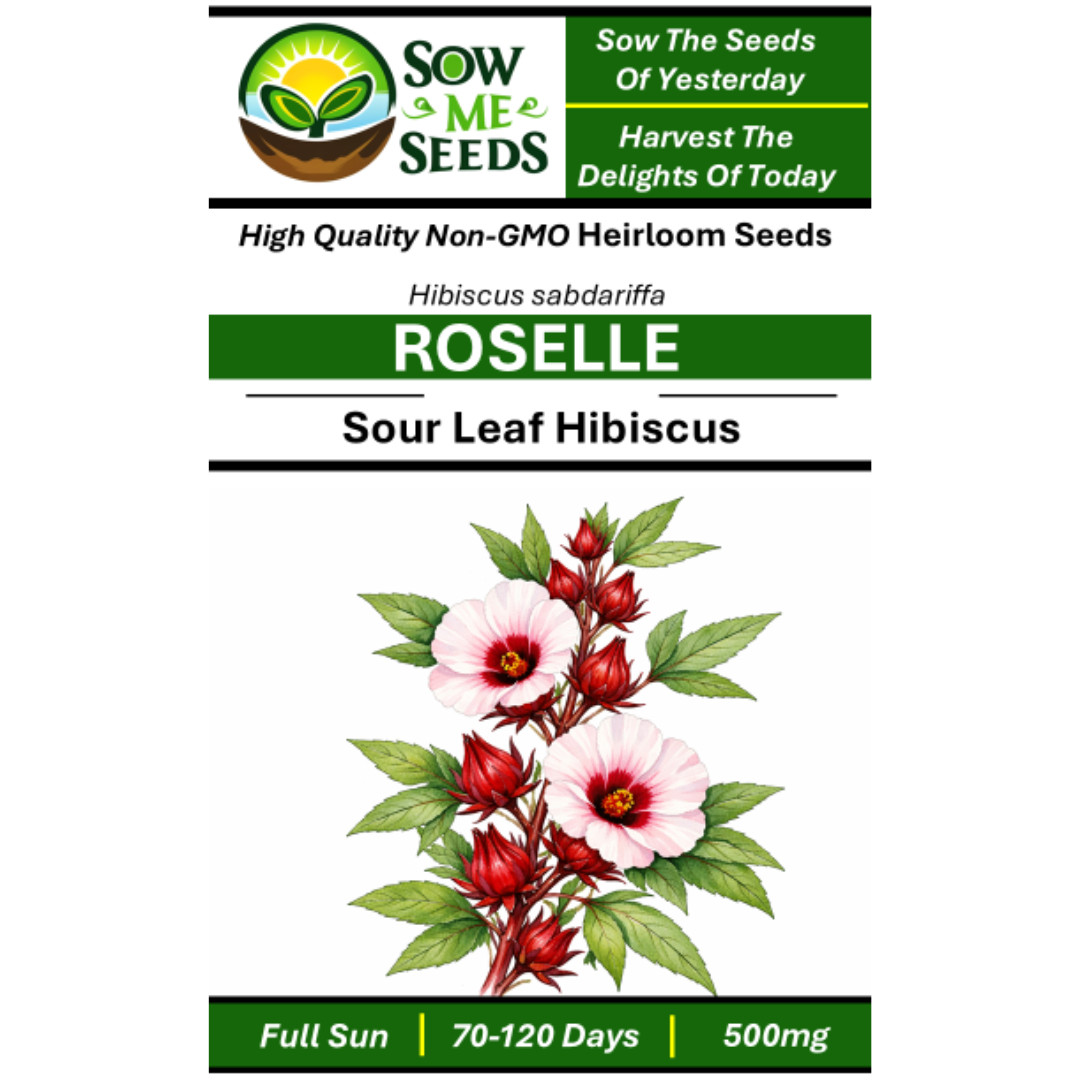 Roselle Seeds – Asian Sour Leaf Hibiscus: Non-GMO, Heirloom Vegetable Seeds
