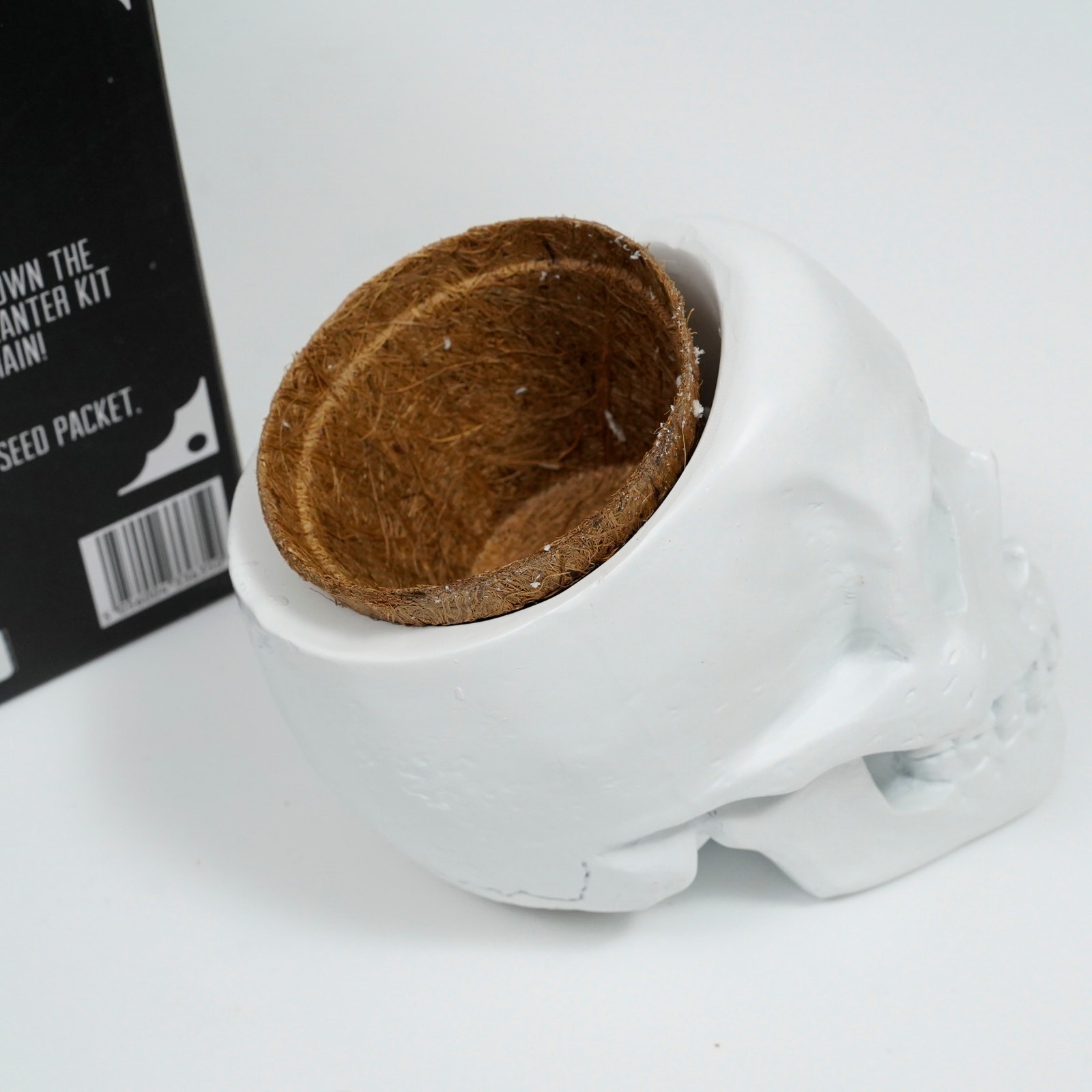 Skull Planter Cactus Grow Kit Macabre Gothic Decor Novelty Gift New in Box